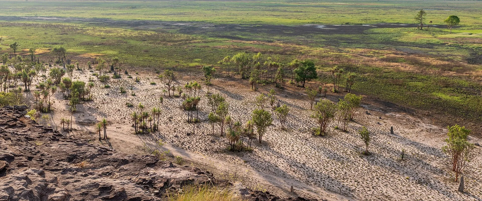 Jabiru landscape featuring Kakadu National Park